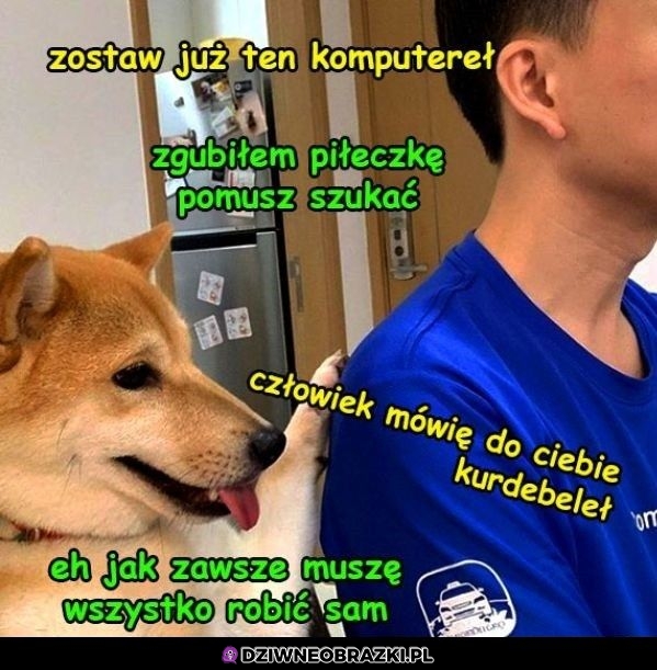 Zostaw ten komputer noo