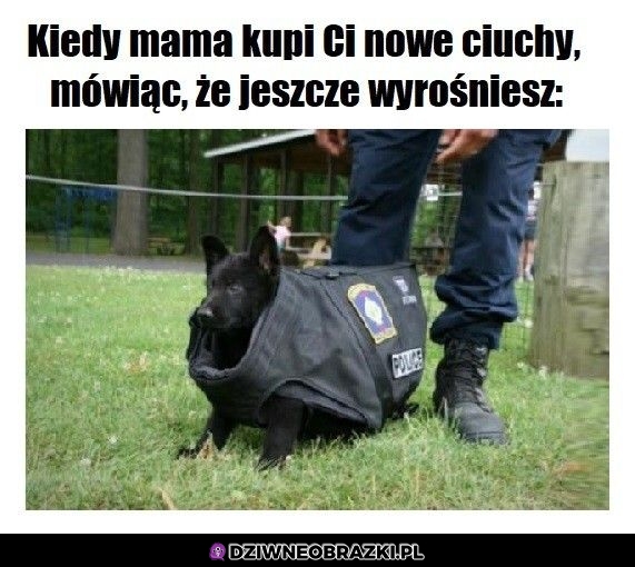 Ten moment kiedy dostaniesz nowe ciuchy