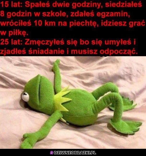 Bez kitu