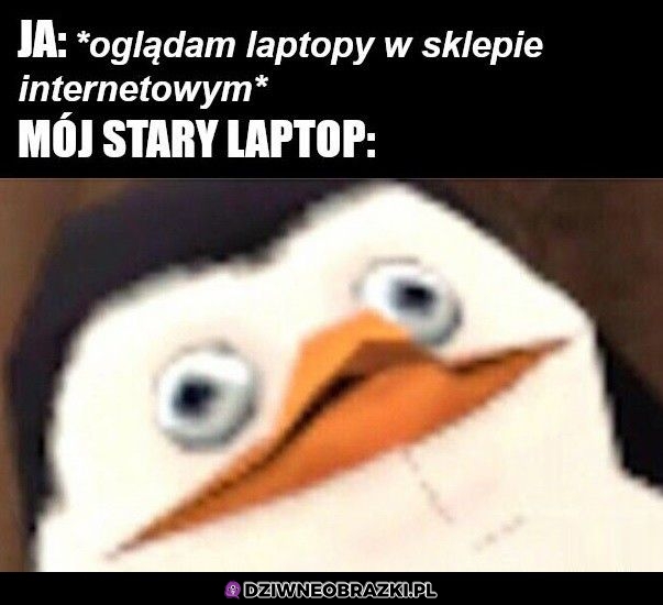 Nowe laptopy