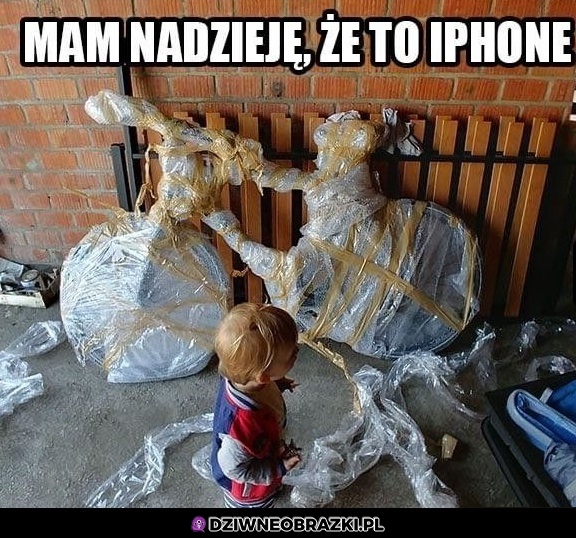 Nadzieja umiera ostatnia