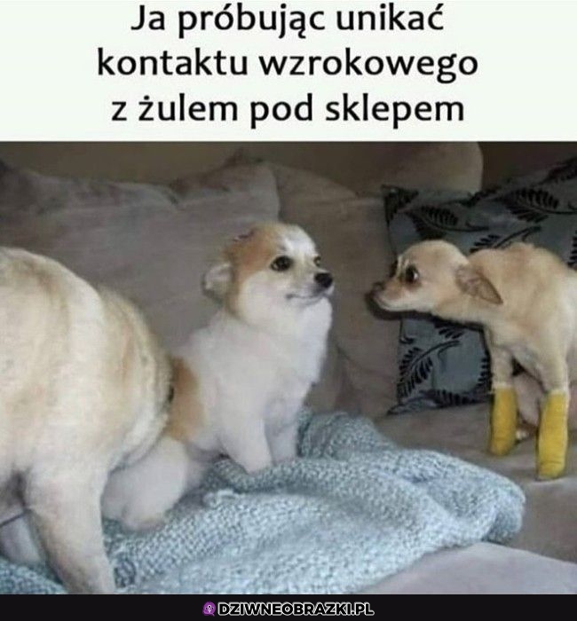 Ten moment