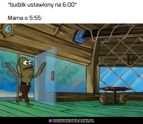 Co jeszcze śpisz nierobie?