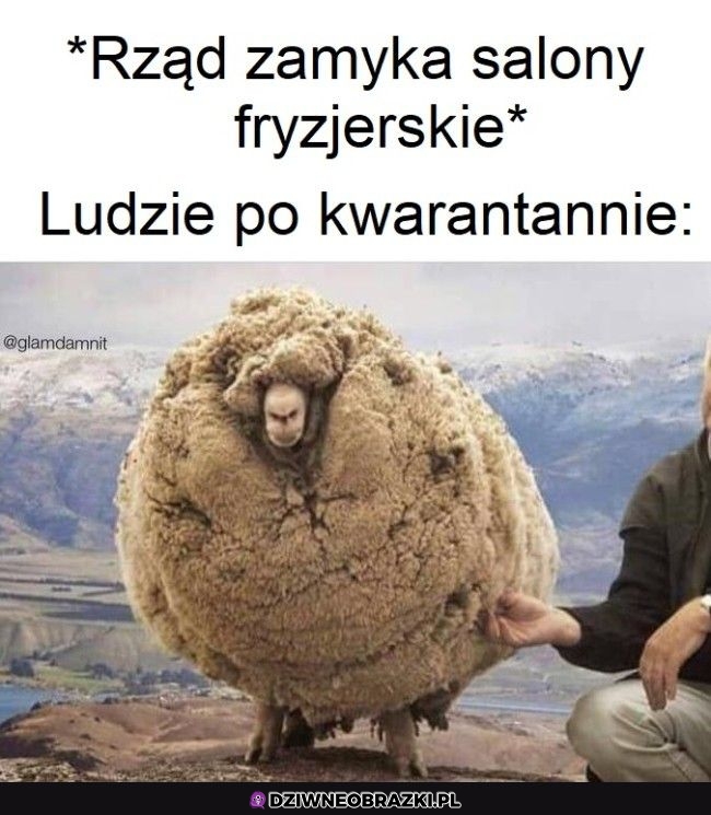 Tak będziemy wyglądać