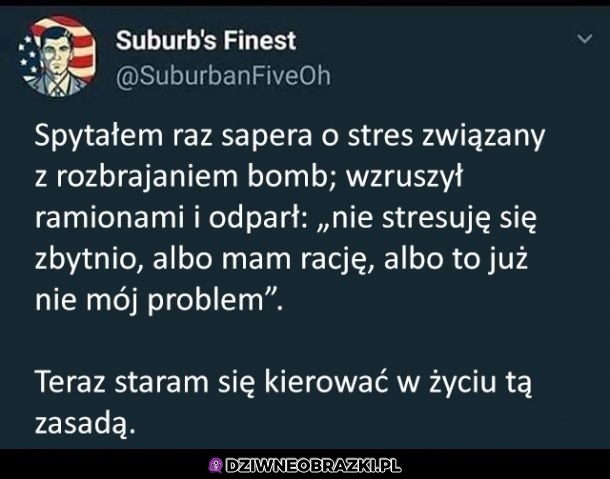 Zasada