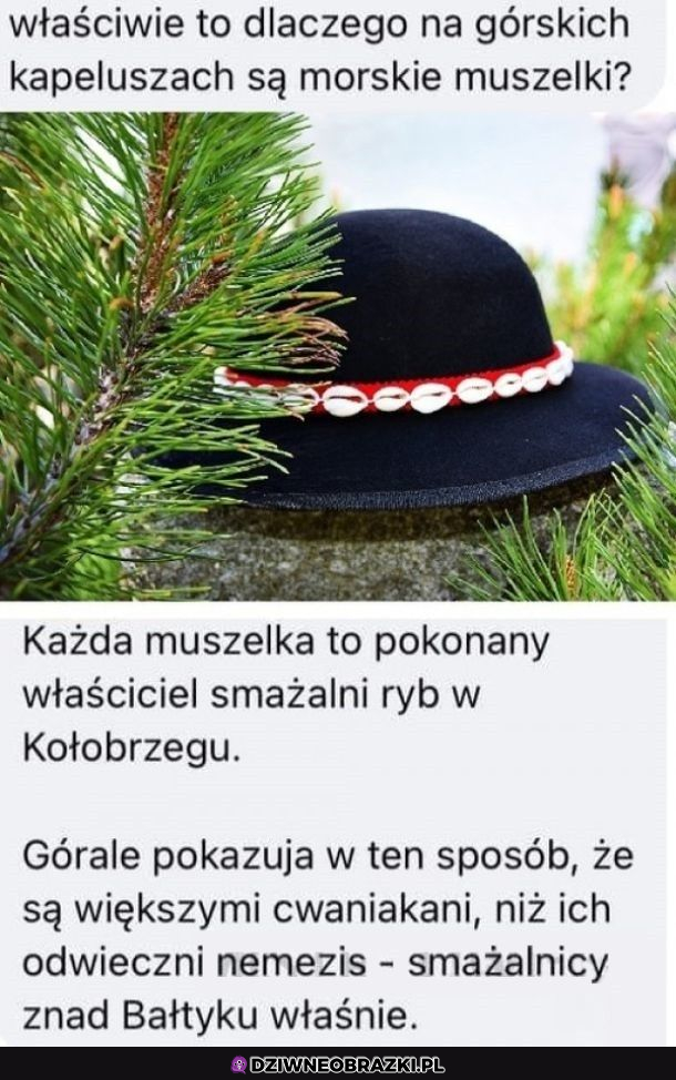 Dlaczego tak