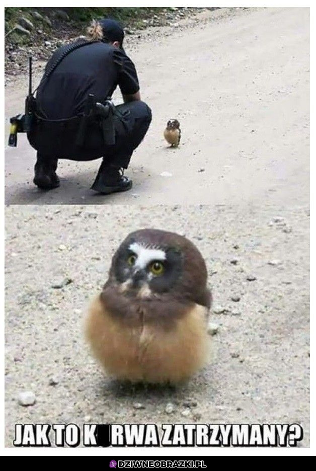 Ale jak to?