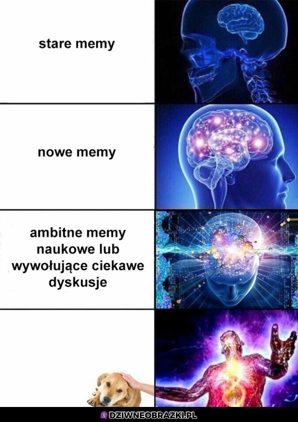 Mem nad memy