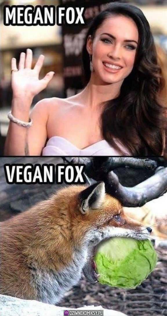 Fox