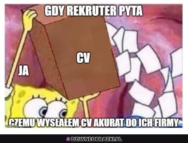 Dlaczego akurat ta firma?