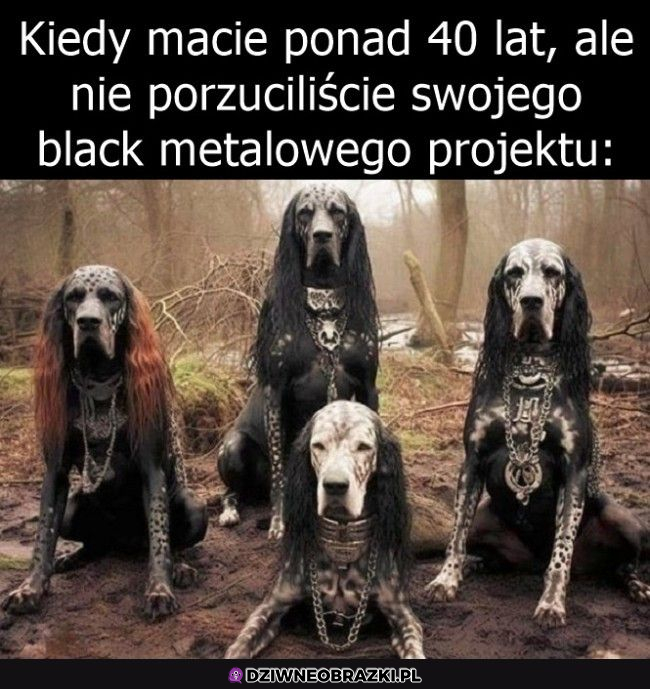 Tak to wygląda