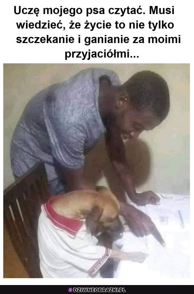 Ważna umiejętność dla psa