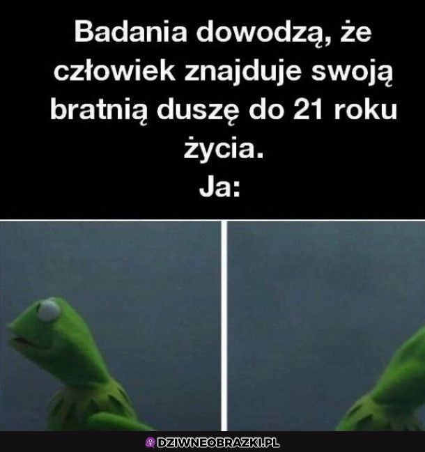 Chyba jednak nie