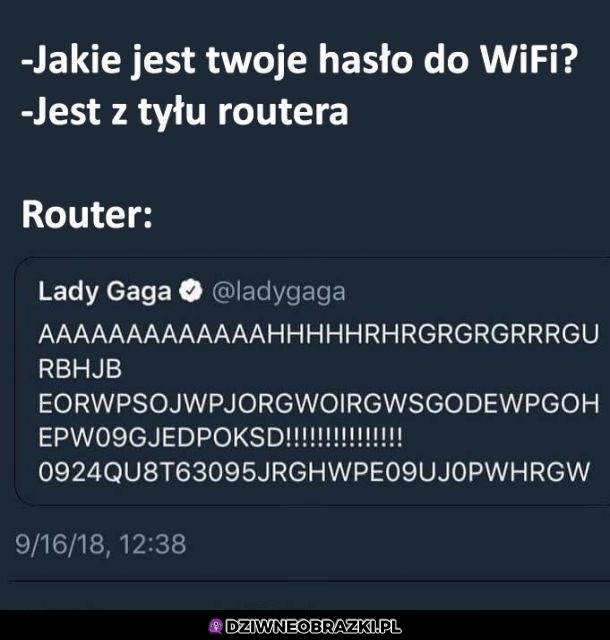 Hasło