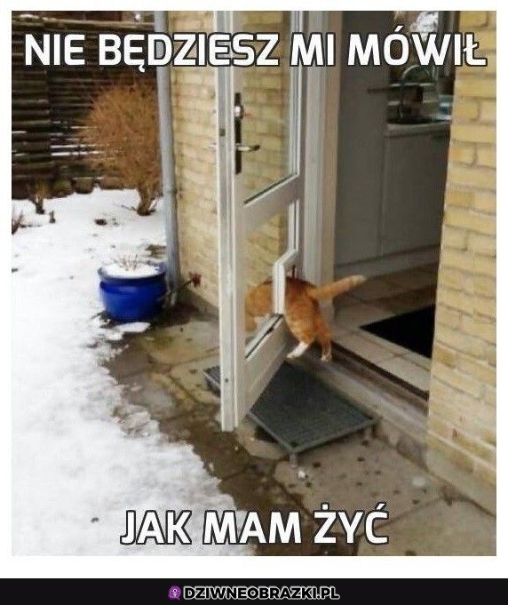 I tak wyjdę jak chcę