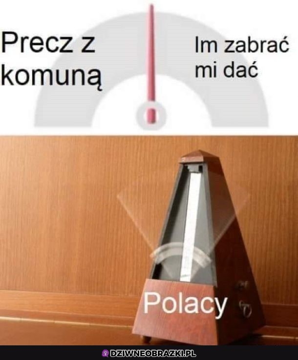 To o nas