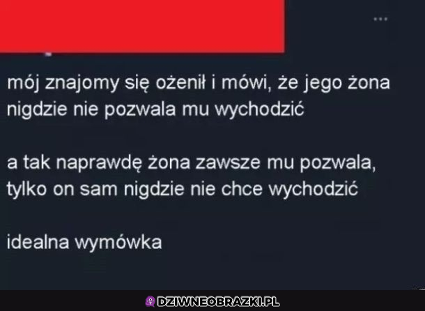 idealna wymówka