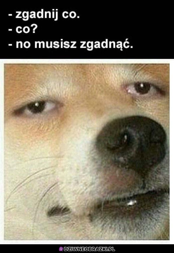 Zgadnij co