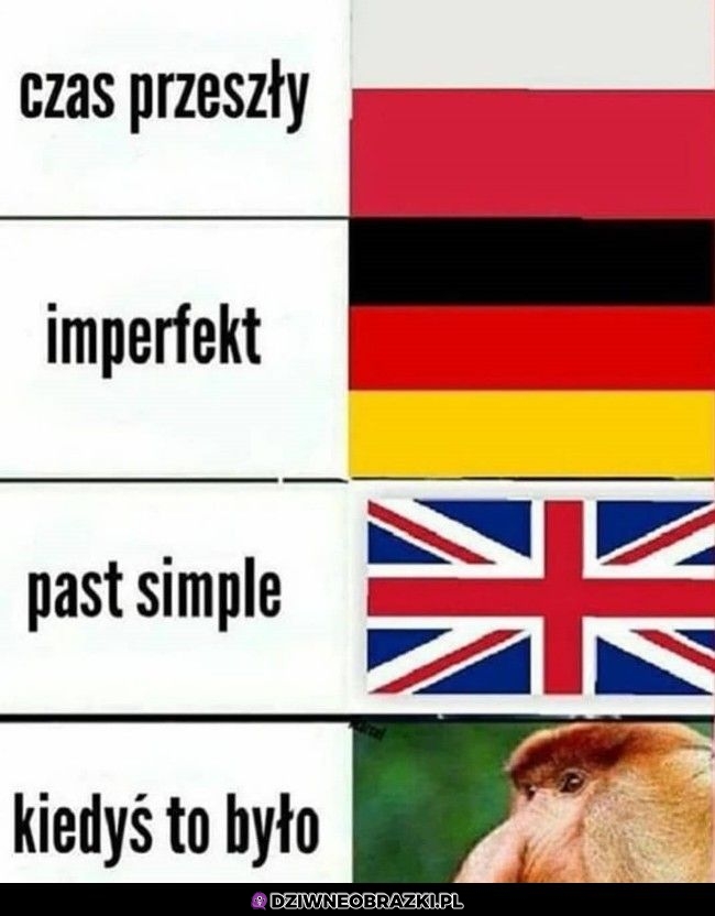 Paaaaanie