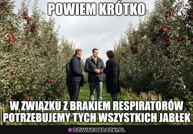 Rekwirujemy je