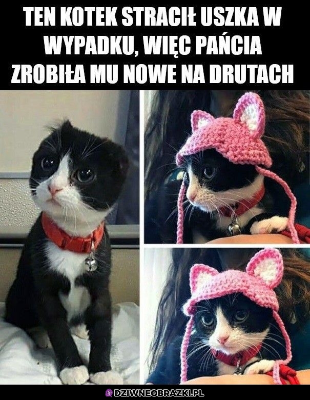 Jak słodko