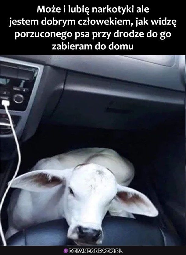 Dobry człowiek