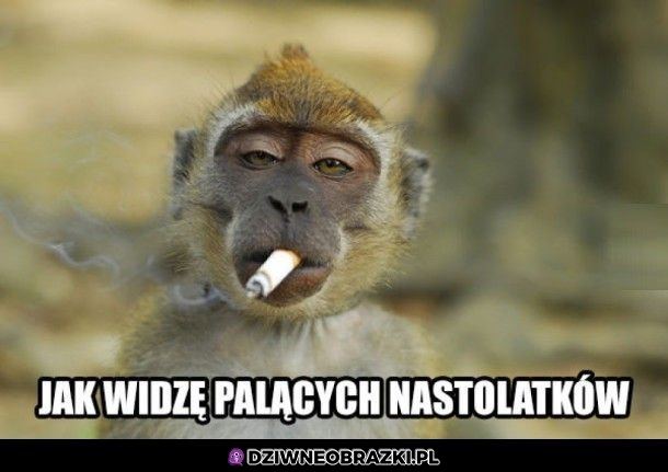 Jarające dzieciaki