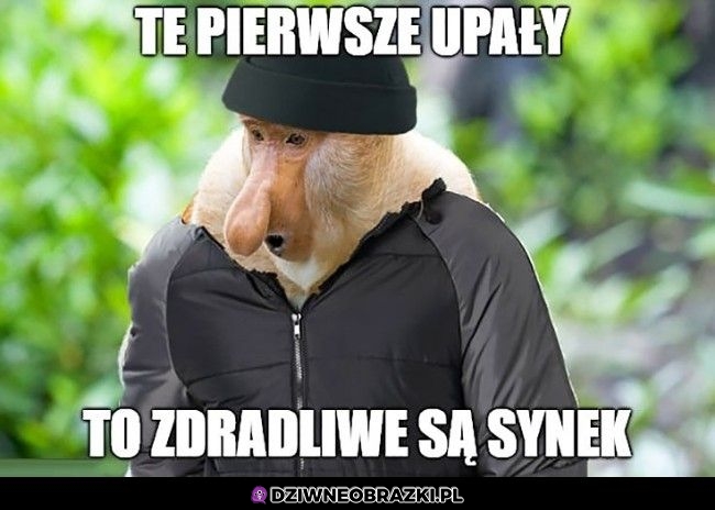 Zdradliwe są