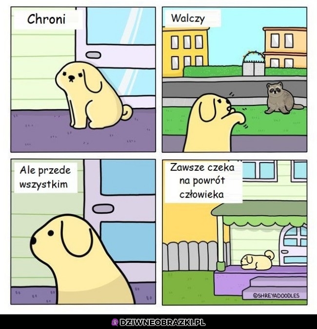 Pieseł