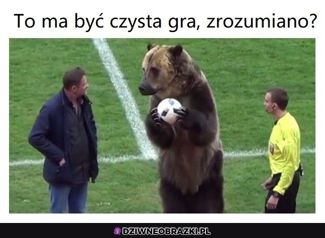 Wszystko jasne?