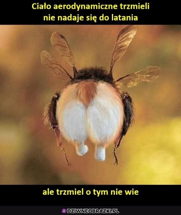 Nie mówcie mu o tym