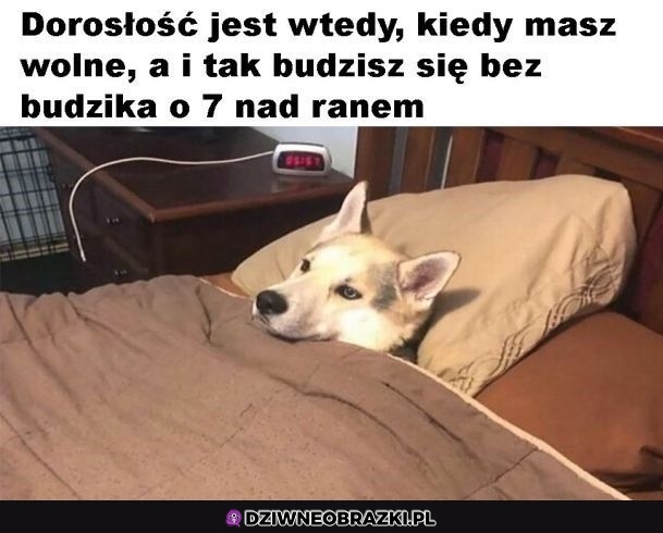 To prawda