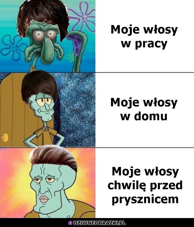 Zawsze to samo