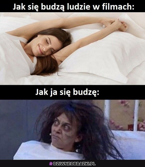 Różne rodzaje pobudek