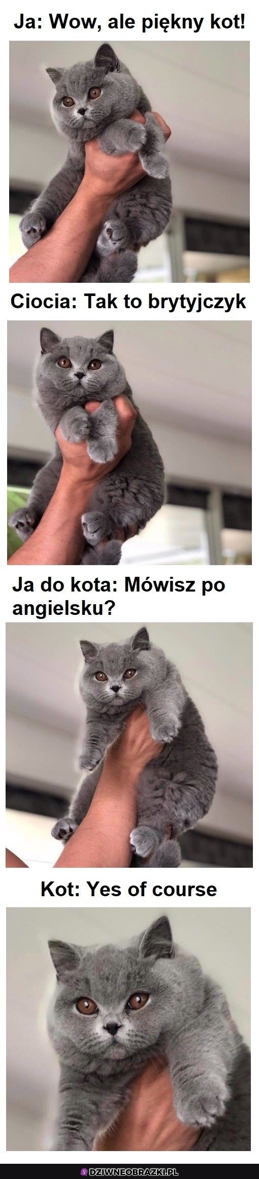 Kitku