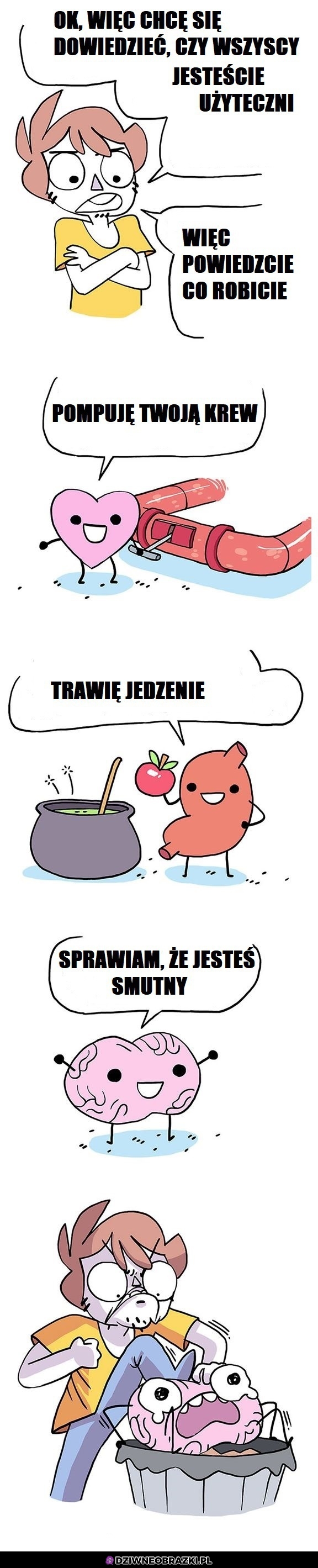 Za co odpowiadają?