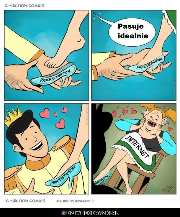 Pasuje idealnie