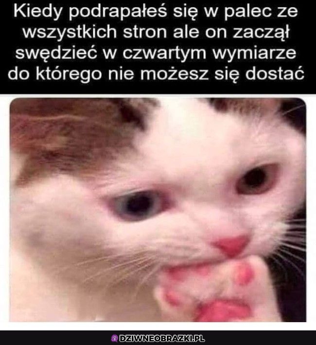 Ten moment Ten moment