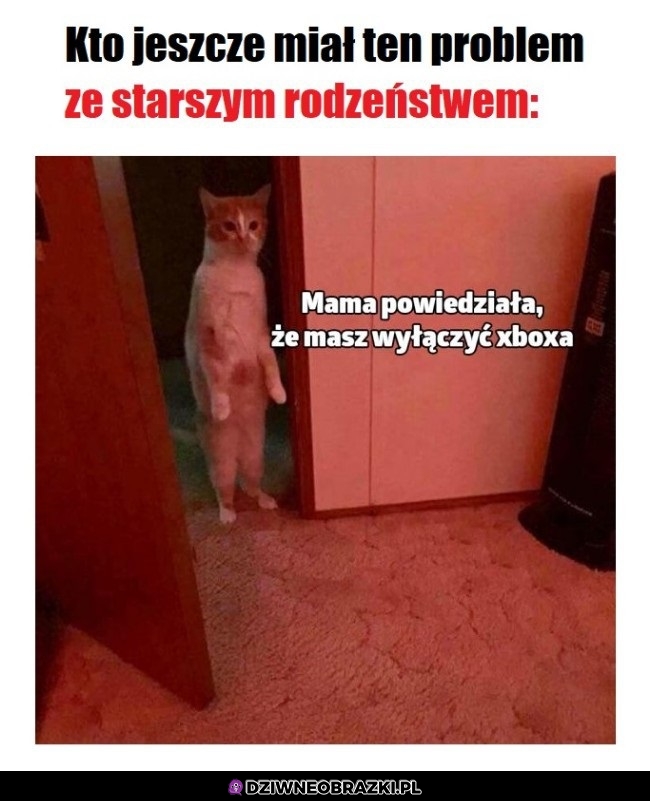 Starsze rodzeństwo