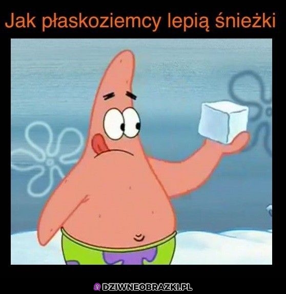Śnieżki płaskoziemców