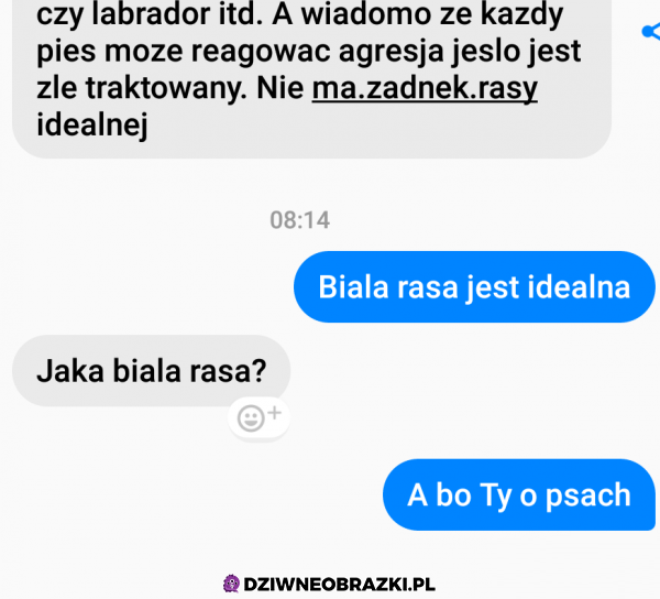 Jaka rasa jest najlepsza?