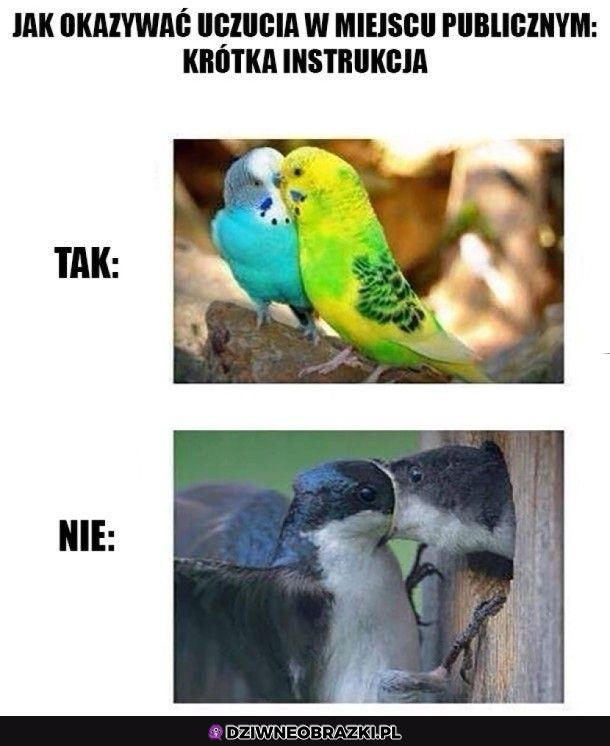 Proste