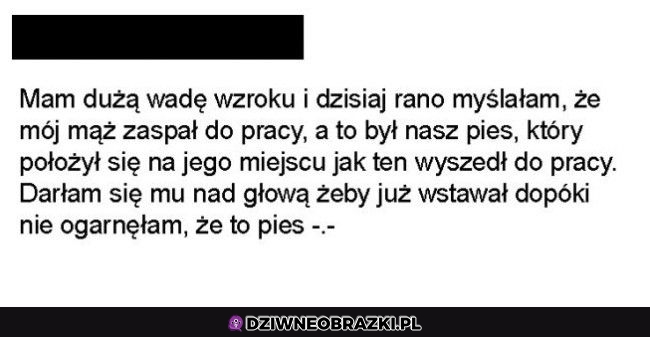 Dobrze ogarnęła