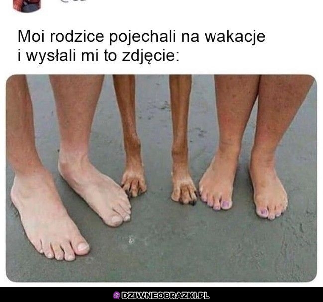 Wakacyjne foto