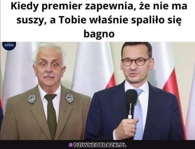 Ten moment