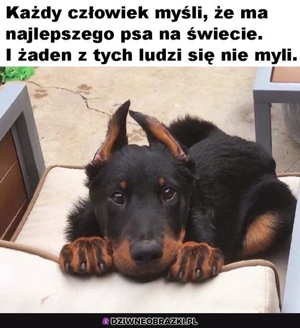 Dokładnie