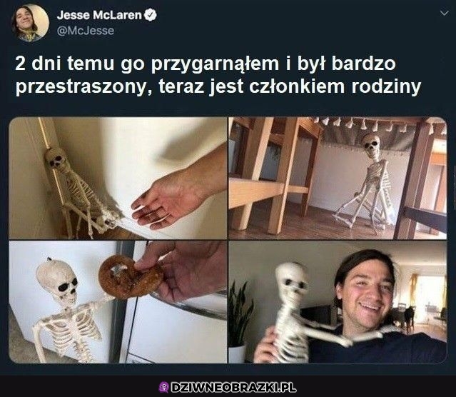 Najlepiej