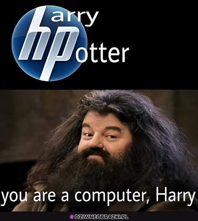 Harry masz wiadomość