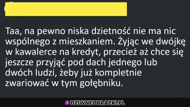 Dzietność