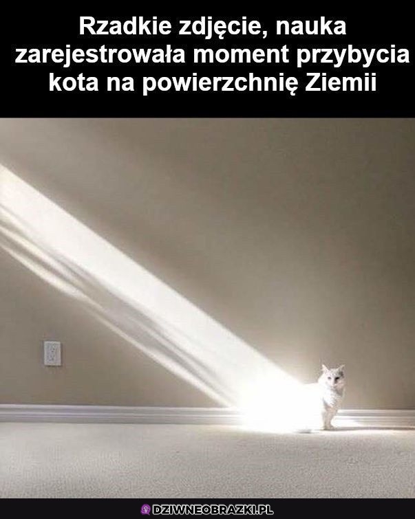 Cudowny moment
